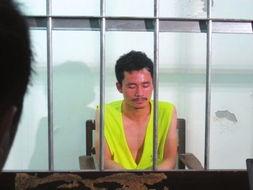 周禄宝最新新闻爆料,揭秘娱乐圈惊人内幕